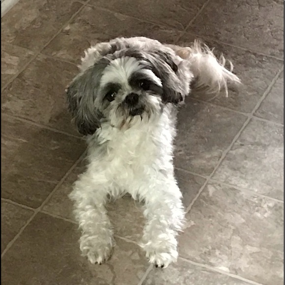 Meet your Posher, Cheryl - Picture 1 of 1